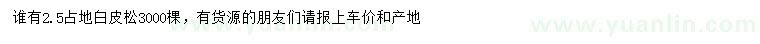 求購2.5米白皮松