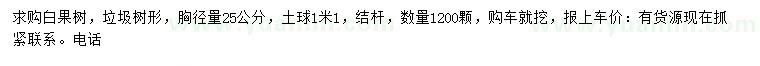求購胸徑量25公分白果樹