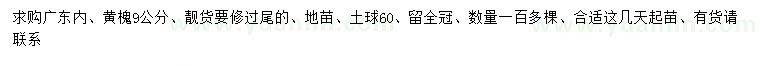 求購9公分黃槐