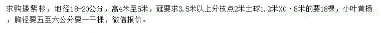 求購地徑18-20公分矮紫杉、胸徑5-6公分小葉黃楊