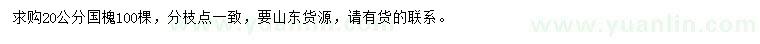 求購20公分國槐
