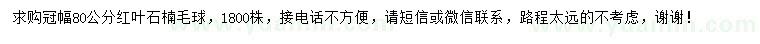 求購紅葉石楠球