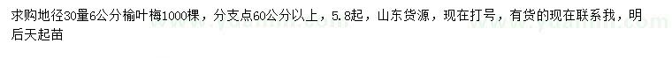 求購地徑30量6公分榆葉梅