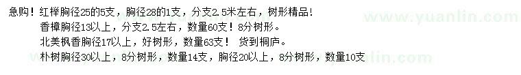 求購(gòu)紅櫸、香樟、北美楓香等