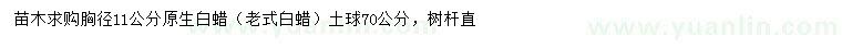 求購(gòu)胸徑11公分原生白蠟