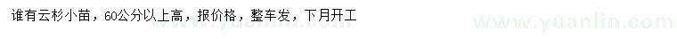 求購(gòu)高60公分以上云杉小苗