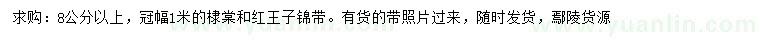 求購(gòu)8公分以上棣棠、紅王子錦帶