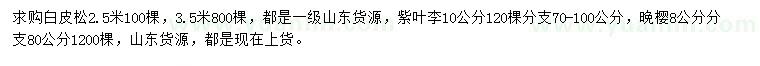 求購(gòu)白皮松、紫葉李、晚櫻