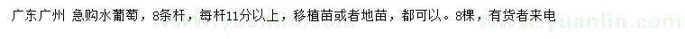 求購水葡萄