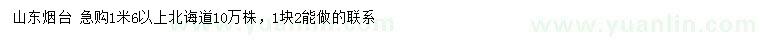 求購1.6米以上北誨道