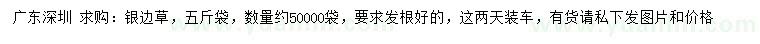 求購草銀邊