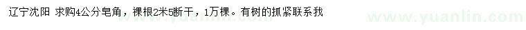 求購4公分皂角