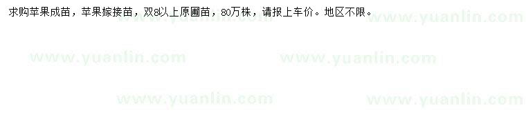 求購蘋果苗