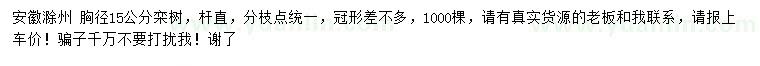 求購胸徑15公分欒樹