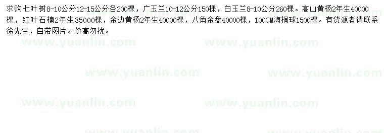 求購(gòu)七葉樹、廣玉蘭、白玉蘭等