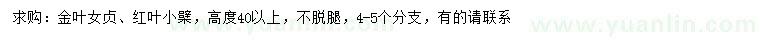 求購高度40公分以上金葉女貞、紅葉小檗