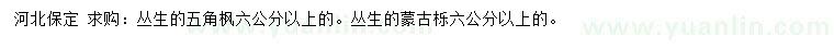 求購(gòu)6公分以上叢生五角楓、叢生蒙古櫟
