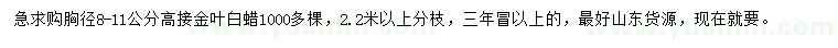 求購(gòu)胸徑8-11公分高接金葉白蠟