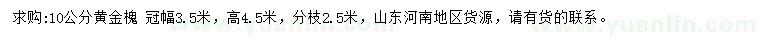求購10公分黃金槐