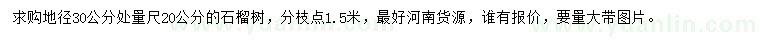 求購地徑30公分處量尺20公分石榴樹
