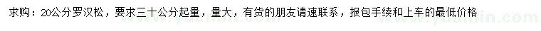 求購30公分起量20公分羅漢松
