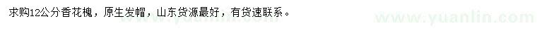 求購(gòu)12公分原生香花槐