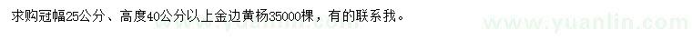 求購冠幅25公分金邊黃楊