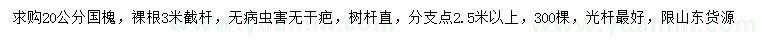 求購20公分國槐