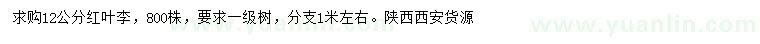 求購12公分紅葉李