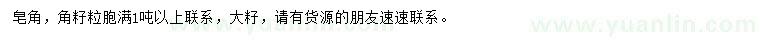 求購皂角種子