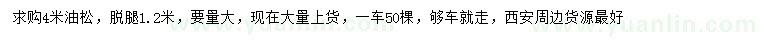 求購4米油松