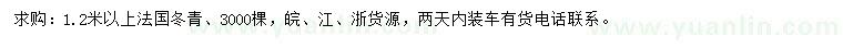 求購1.2米以上法國冬青