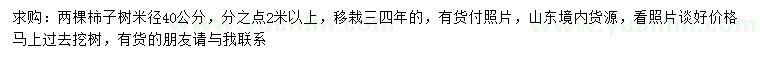 求購米徑40公分柿子樹