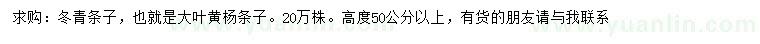 求購高度50公分以上冬青條子