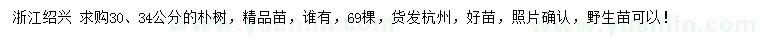 求購30、34公分樸樹