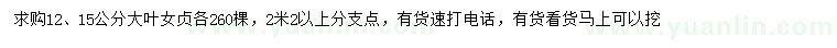求購12、15公分大葉女貞