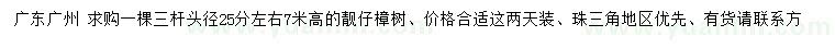 求購頭徑25分左右樟樹