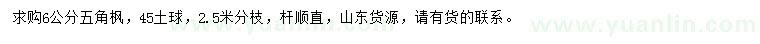 求購6公分五角楓