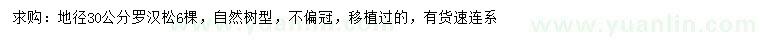 求購地徑30公分羅漢松6棵