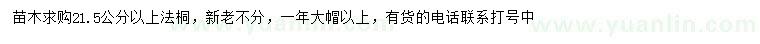 求購(gòu)21.5公分以上法桐
