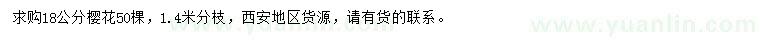 求購18公分櫻花