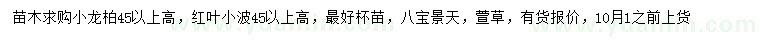 求購(gòu)高45公分以上小龍柏