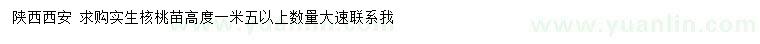 求購高度1.5米以上實生核桃苗