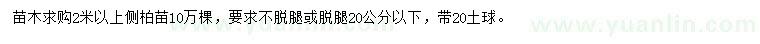 求購(gòu)2米以上側(cè)柏苗