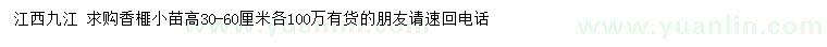 求購(gòu)高30-60公分香榧小苗