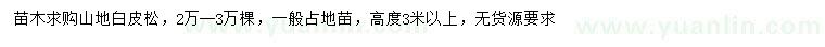 求購調(diào)蓄3米以上山地白皮松