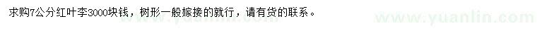 求購7公分紅葉李