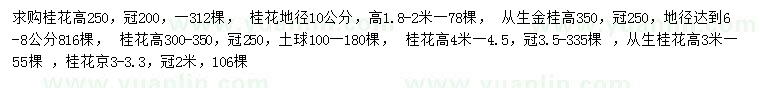 求購桂花、叢生金桂、眾生桂花