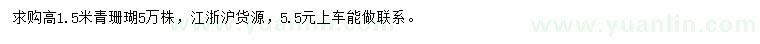 求購高1.5米青珊瑚