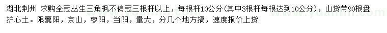 求購叢生三角楓